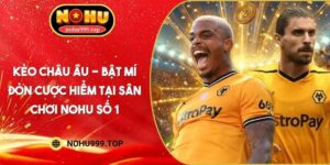 Kèo Châu Âu - Bật Mí Đòn Cược Hiểm Tại Sân Chơi NOHU Số 1